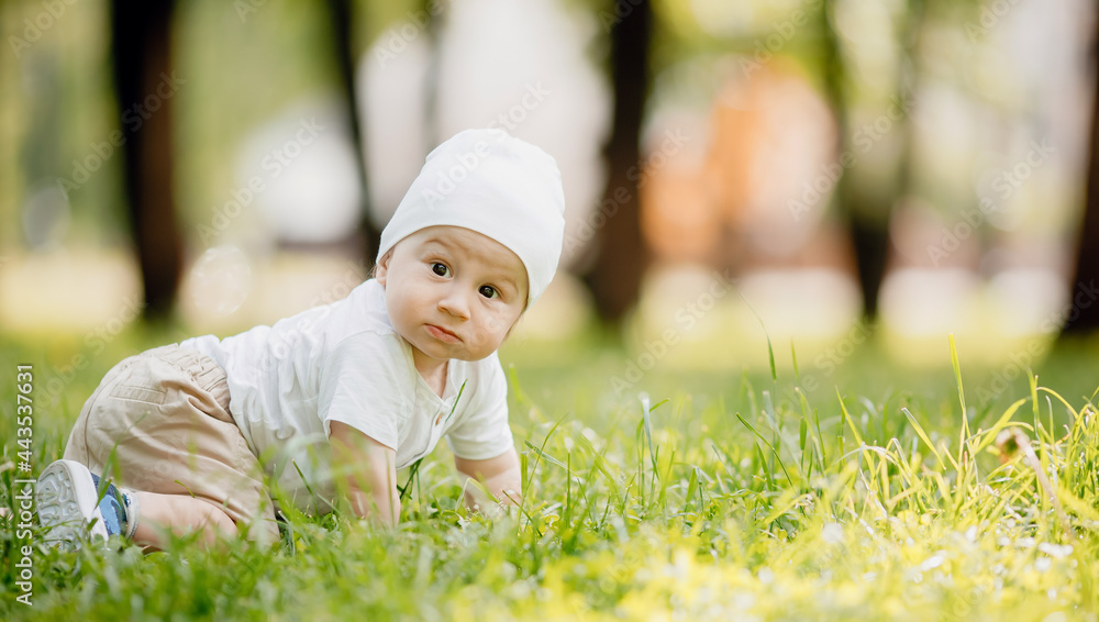 Portrait of happy little child boy crawling in green grass on summer day in garden sunset. Concept health outdoor sports for children Portrait of happy little child boy crawling in green grass on summer day in garden sunset. Concept health outdoor sports for children
