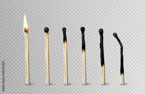 Stages of match burning from fire to burnt wooden stick, matchsticks stand in row, timeline from flame to charred firebrand isolated on transparent background, Realistic 3d vector illustration, set