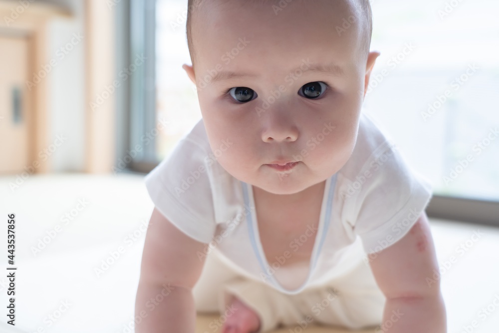 赤ちゃん（男の子）　ポートレート