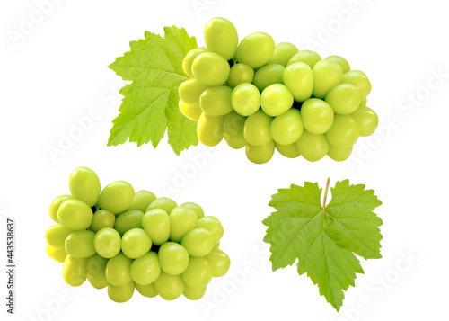 Set of cutout beautiful bunch of fresh green Shine Muscat grape and leaf isolated on white background