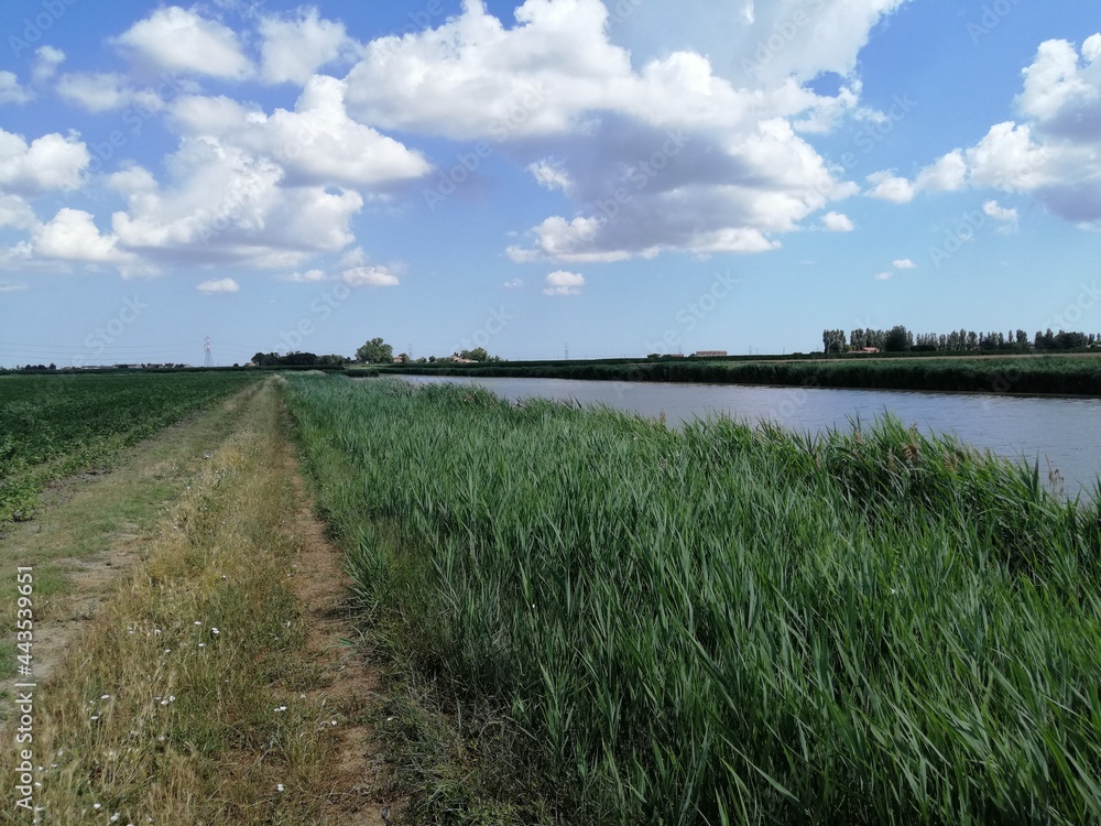 river nature in country side river nature in country side