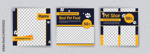 international Cat day. Pet shop square banner template. Promotional Banner for social media ads, web ads, business messages, discount flyers and big sale banners.