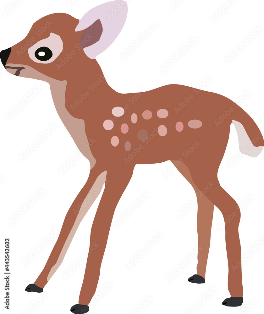 a small fawn with dots on its side, artiodactyl mammals, vector drawing, isolate on a white background