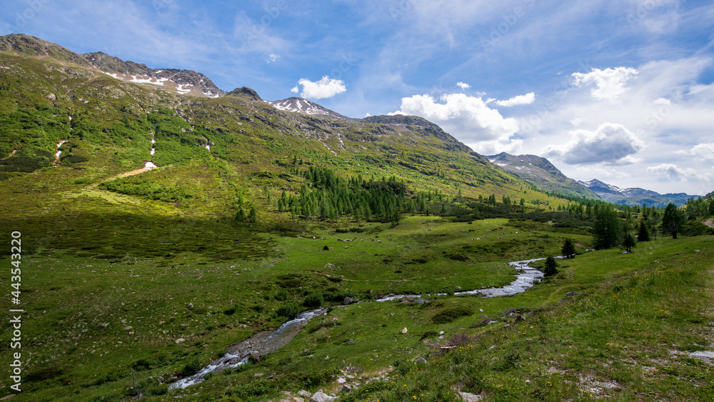 Obraz premium Landschaft im Hochgebirgstal Defereggental, Osttirol, Österreich, kurz vor der italienischen Grenze