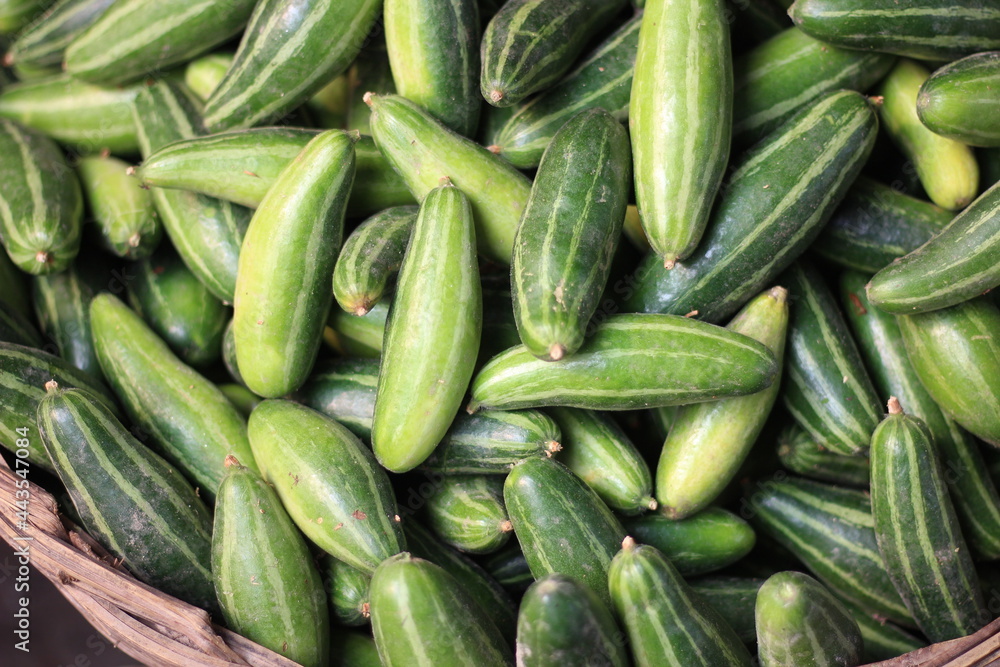 A bunch of green pointed gourd in the market A bunch of green pointed gourd in the market