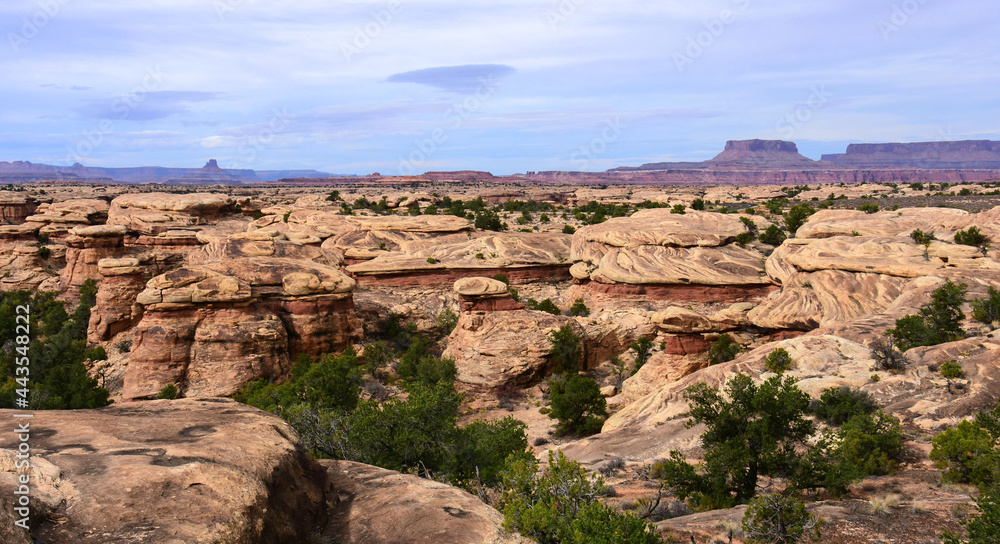 dramatically eroded rock formations and buttes in spring canyon along teh slickrock foot  trail in the needles district of  canyonlands national park, near moab, utah 
