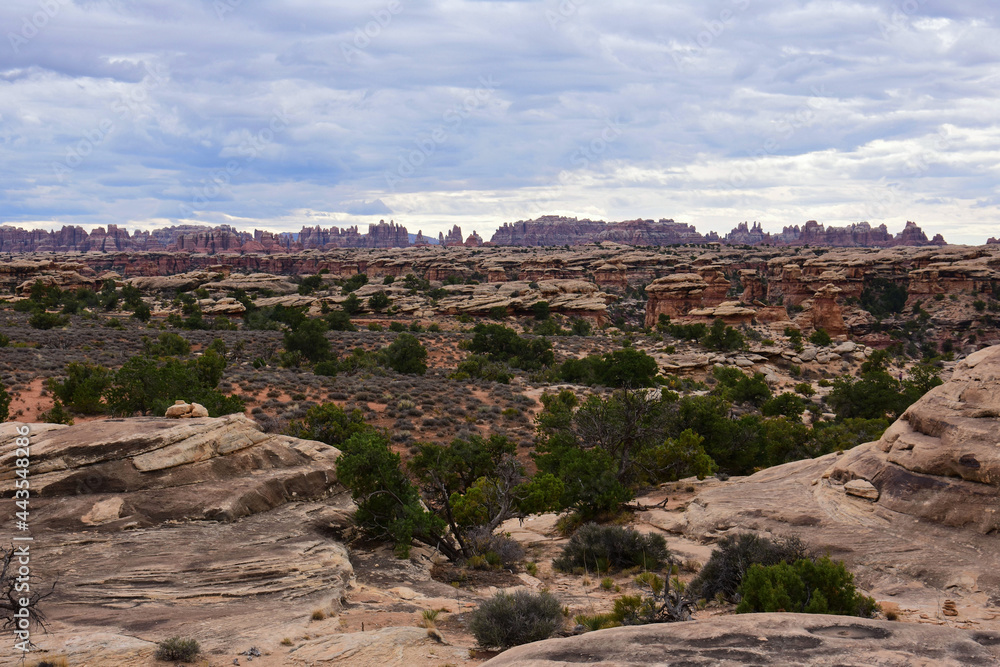 looking out across spring canyon to the dramatically -eroded needles rock formations along the slickrock foot trail in the needles district in canyonlands national park, near moab, utah 