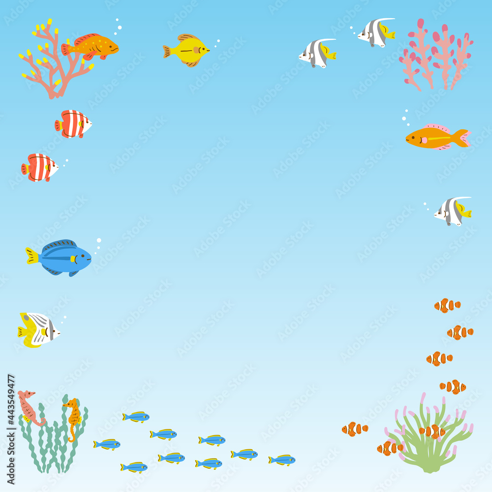 熱帯魚のフレーム　背景素材　正方形