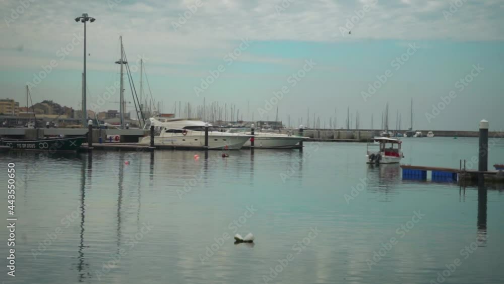 dock with moored boats and birds flying and water mirroring the sky with clouds