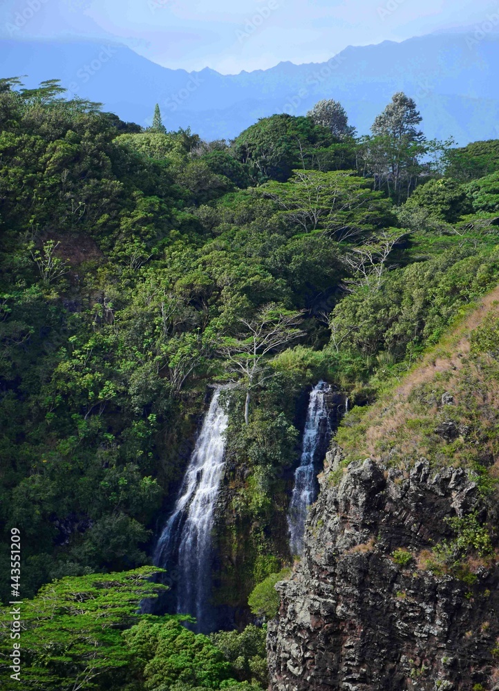 the  double opaekaa falls in the wailua river state park from the kuamo'o road overlook in kauai. hawaii