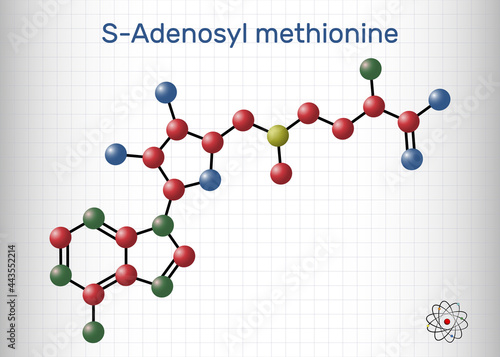 S-Adenosyl methionine, SAM-e, SAM molecule. It is sulfonium betaine, cosubstrate, coenzyme involved in methyl group transfer reactions. Sheet of paper in a cage