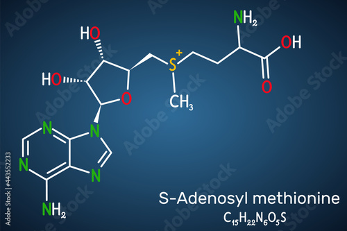 S-Adenosyl methionine, SAM-e, SAM molecule. It is sulfonium betaine, cosubstrate, coenzyme involved in methyl group transfer reactions. Dark blue background