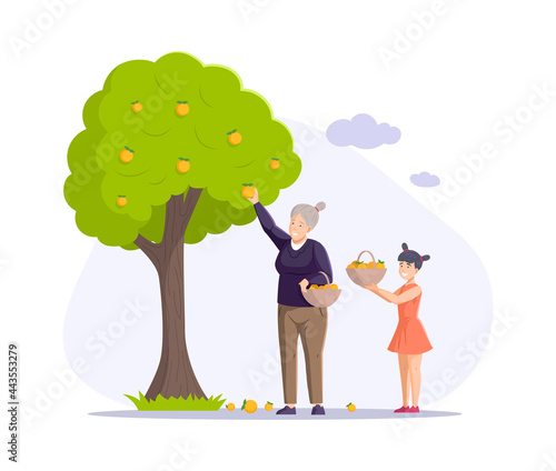 Grandmother and granddaughter picking orange seasonal harvest from garden tree