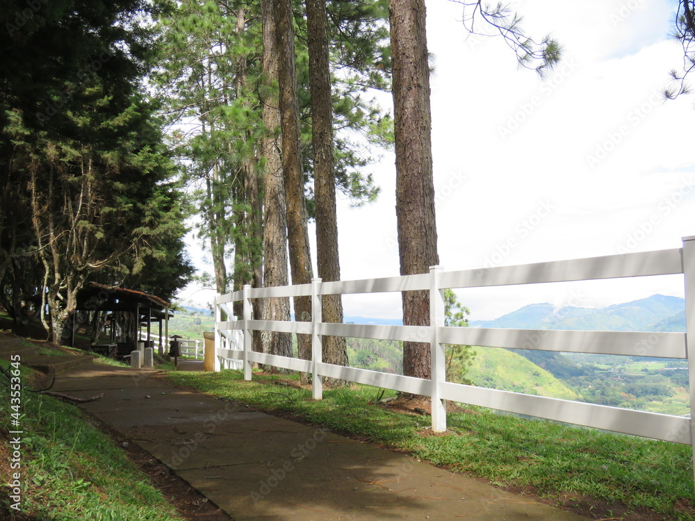 Fototapeta premium white fence in a park