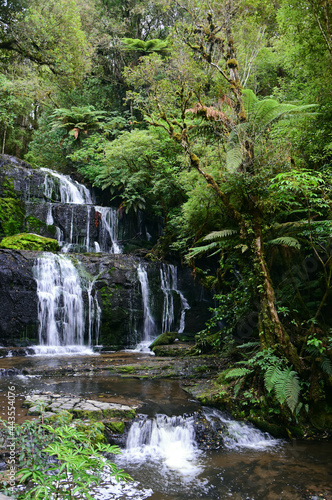 pretty purakanui falls in a silver beech and podocarp forest in the catlins coastal region of southland  on the south island of new zealand