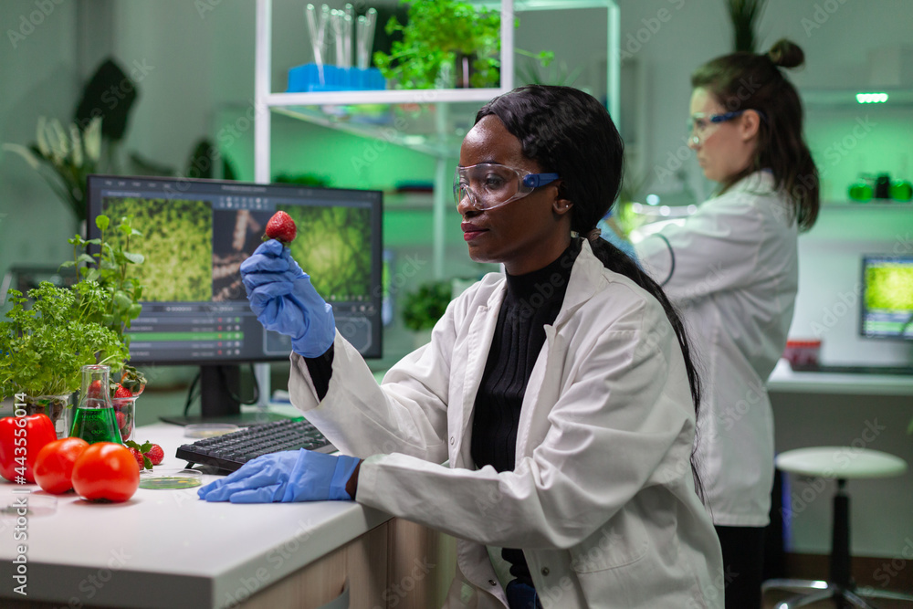 Obraz premium Chemist scientist looking at strawberry with organic liquid examining dna test of fruits for botany experiment. Biochemist working in pharmaceutical laboratory testing health food for medical