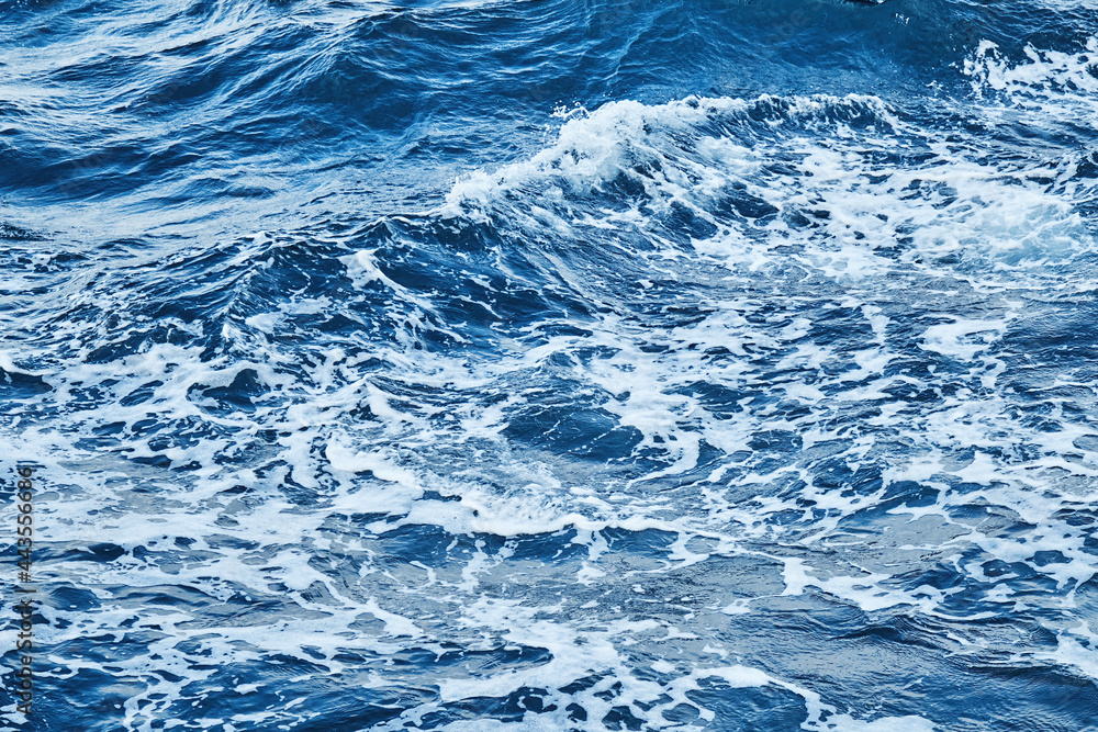 Fototapeta premium deep blue sea surface with wave by the heavy wind with many white bubble