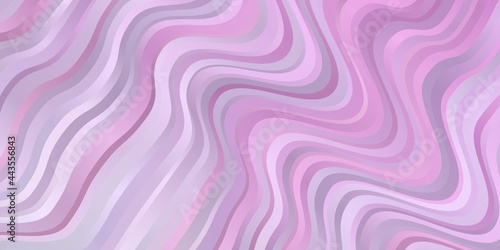Light Purple  Pink vector layout with curves.
