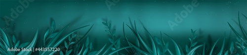  Underwater turquoise horizontal background with, seaweed. Deep Sea Scene. Summer banner. Vacation concept.Vector.