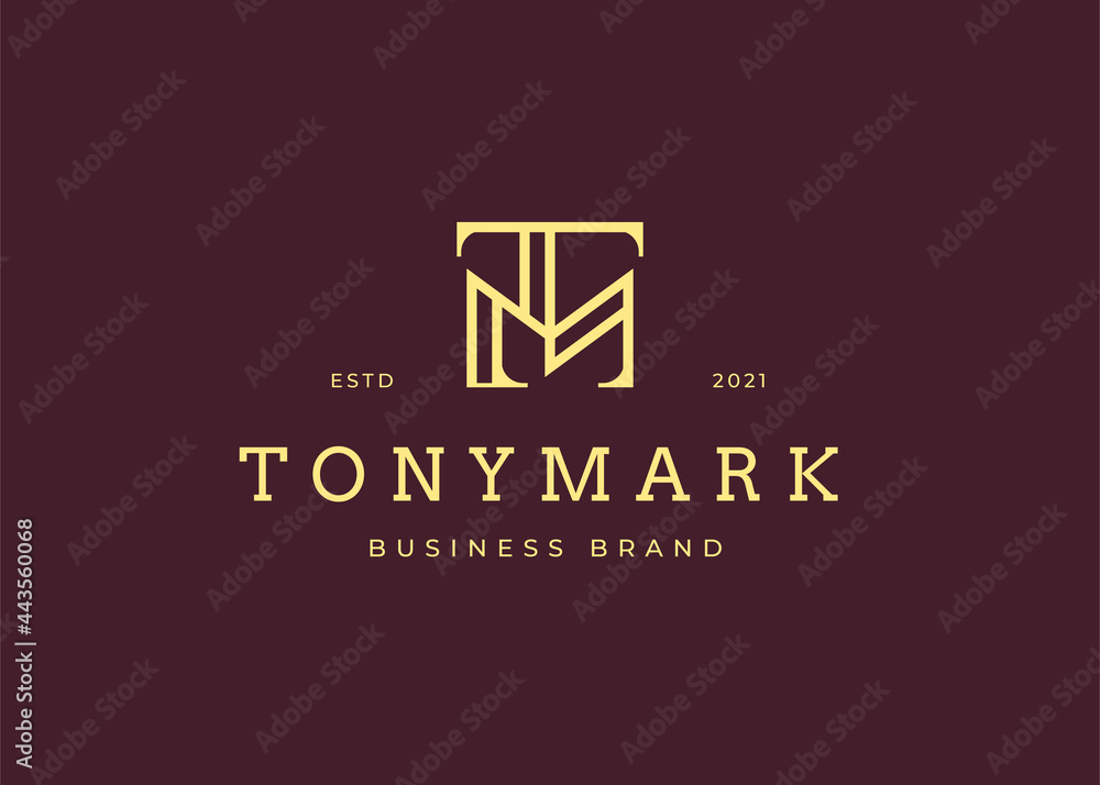 Letter M T Minimalist luxury logo design template, monoline style. branding for fashion, personal or company brand. Vector illustrations Letter M T Minimalist luxury logo design template, monoline style. branding for fashion, personal or company brand. Vector illustrations