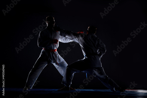 Two judokas fighters posing in gym