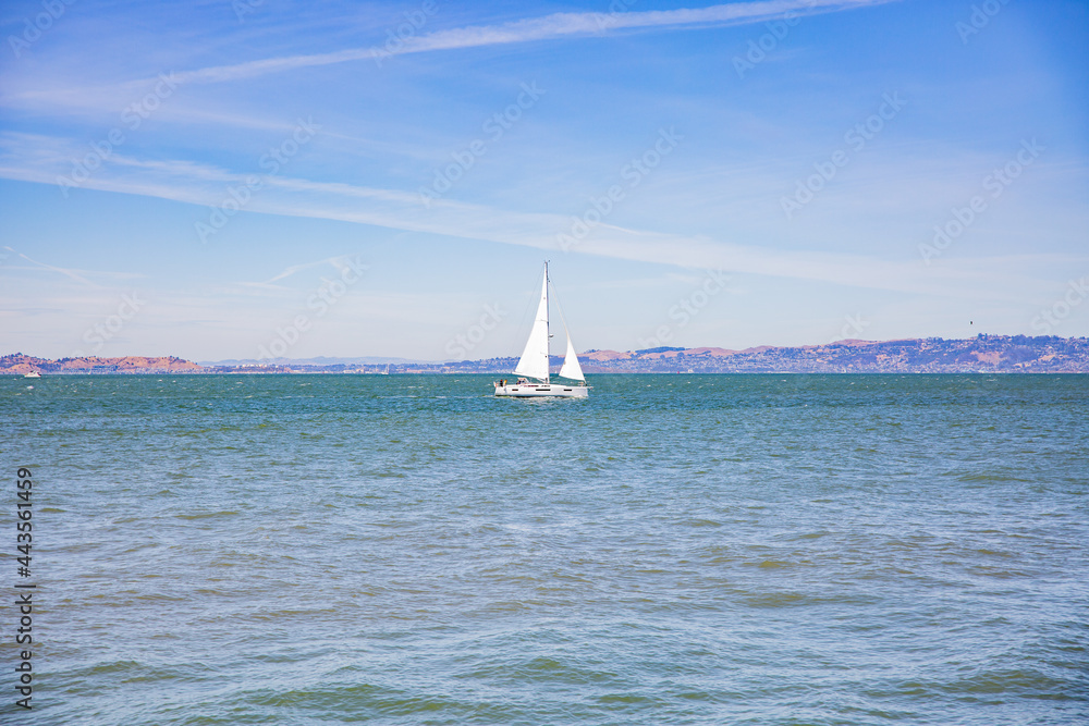 Sail Boat in San Francisco Bay