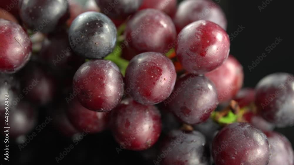 Fresh grapes in black background Fresh grapes in black background