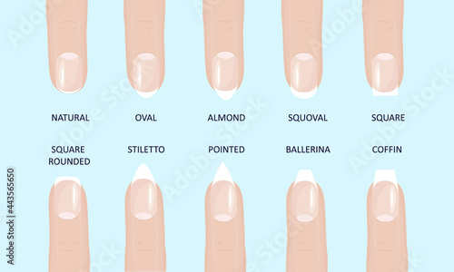 Manicure most popular fashion nail shapes flat style vector illustration set isolated light blue background. Natural, squoval, oval, square rounded, square, almond, stiletto different shapes guidance. photo