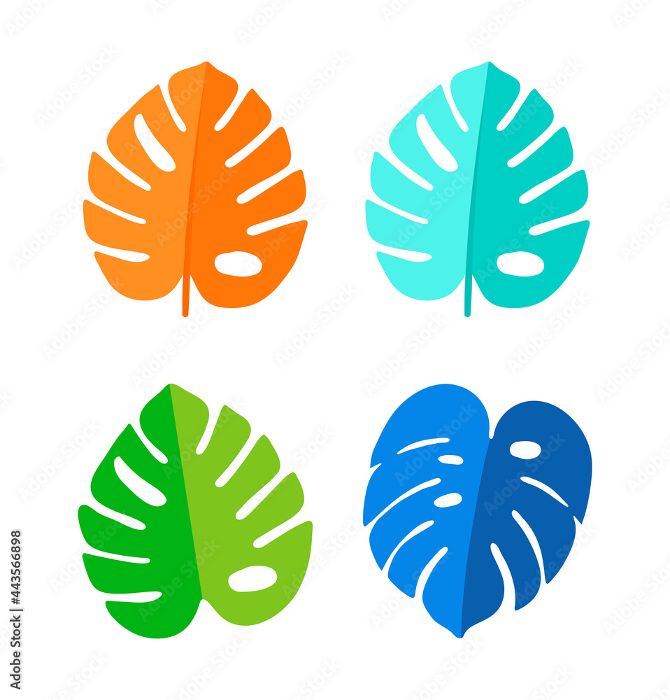 Monstera Leaf, Summer Tropical Plant collection Vector Illustration isolated