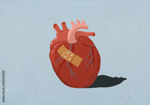 Bandage on human heart
