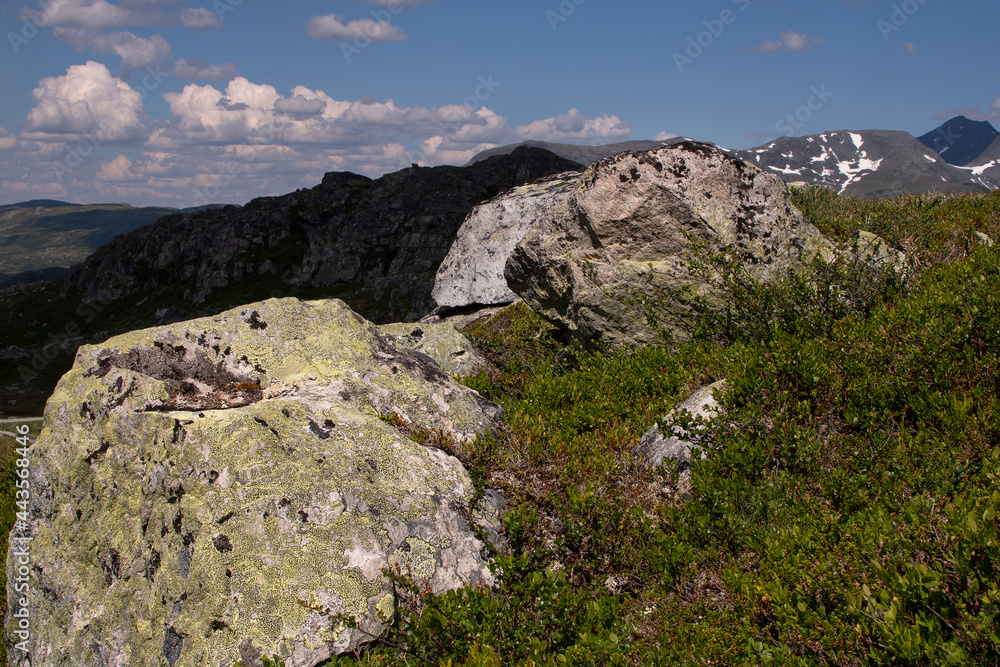 backgroundbeautifulbeautybluecleftcliffcloudcloudsdayenvironmenteuropefloragreenhorizonlandscapeleisure travelmossmoss on stonemountainmountainsnaturalnatureno peoplenobodynorwegian landscape mountain