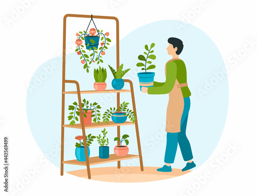 Home gardening. Male character take care to houseplants. Man in apron carefully puts flower in pot on rack. Hobby growing exotic plants. stand with collection of rare sprouts. Vector flat illustration