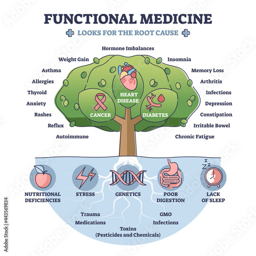 Functional medicine as disease treatment with looks for root cause outline diagram. Tree with cancer, heart disease and diabetes health problem identification and focused help vector illustration. photo