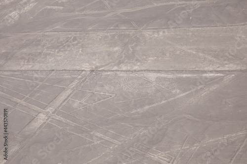 Aerial view of Nazca Lines, The Spider, Peru