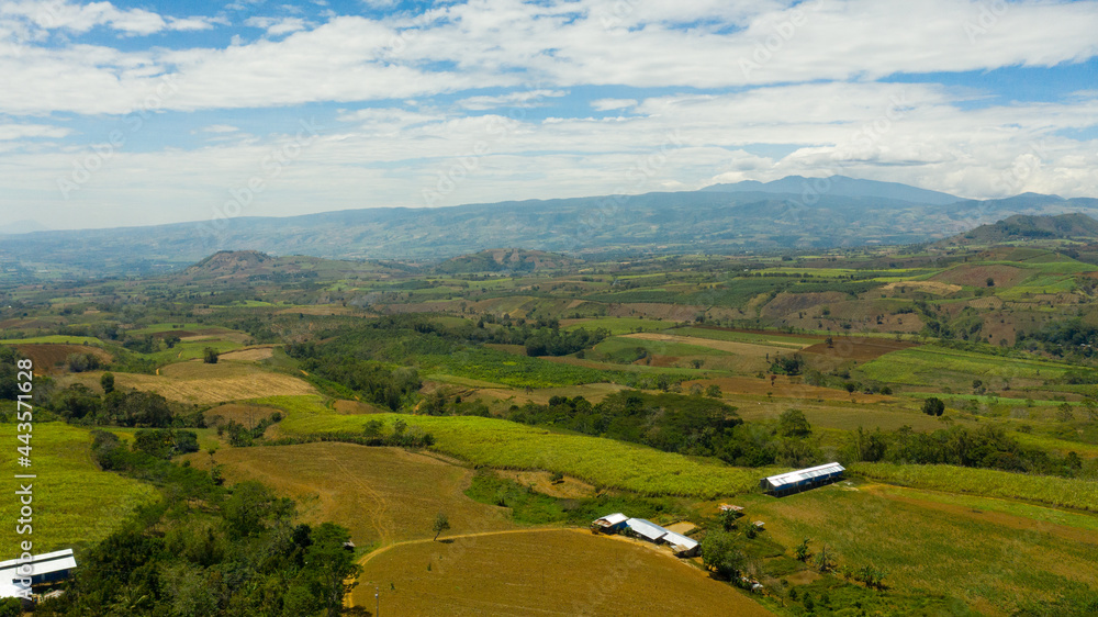 Farming and growing plants in rural areas of Mindanao island, Philippines. Farming and growing plants in rural areas of Mindanao island, Philippines.