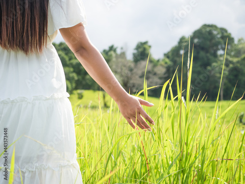Woman in white dress stand in meadow beautiful nature tree and cloudy on sky,Girl travel in nature on mountain at vacation freshness and sunlight