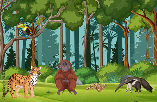 Tropical rainforest scene with various wild animals photo