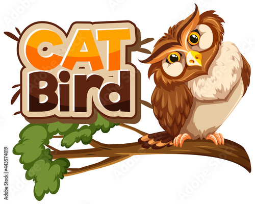 Owl on branch cartoon character with Cat Bird font banner isolated