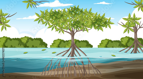 Mangrove forest landscape scene at daytime