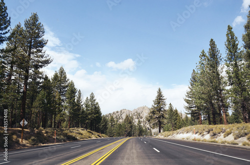 USA, CALIFORNIA: Road in the forest