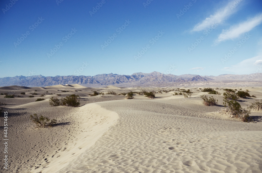 USA, DEATH VALLEY: Scenic landscape view of the desert with mountains
