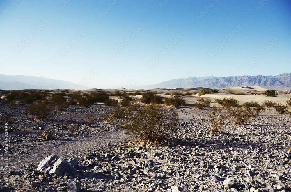USA, DEATH VALLEY: Scenic landscape view of the desert with mountains