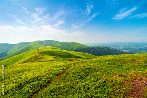 Carpathian mountains range Borzhava  green hills and blue sky  summer nature landscape