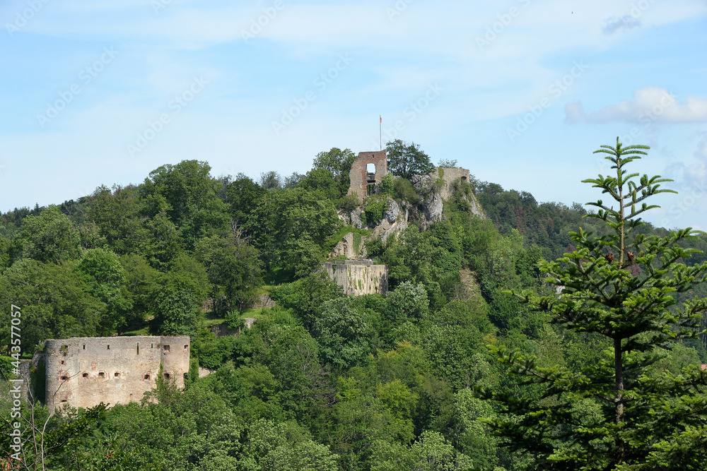 château de Ferrette, château fort médiéval de Ferrette dans le Sundgau Alsacien