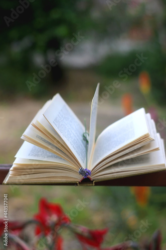 Open book and lavender flower in a garden. Selective focus.