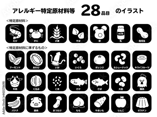 食物アレルギー　アイコン　食品　特定原材料　1C