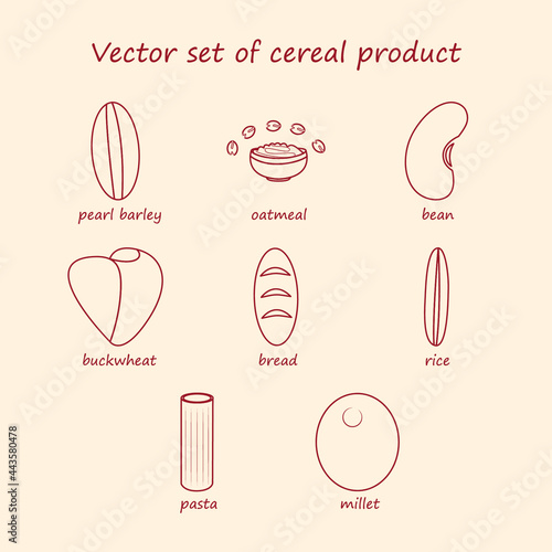 Vector set of cereal products. Collection of line icons pearl barley, oatmeal, beans, buckwheat, bread, rice, pasta, millet.