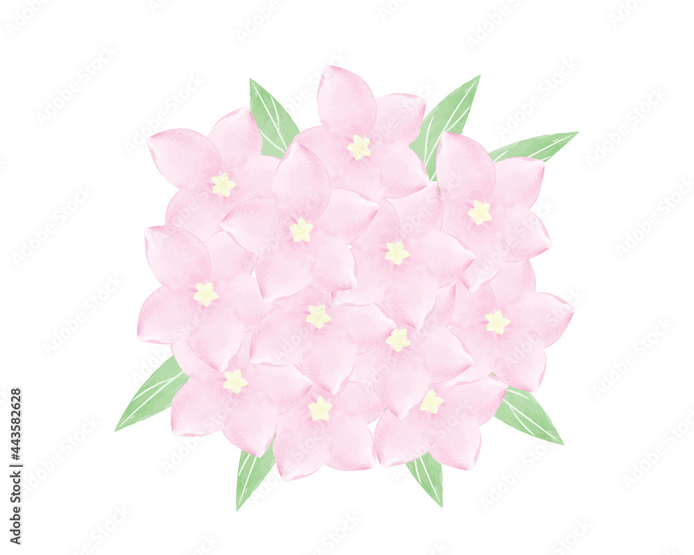 Sweet pink watercolor flowers bouquet on white