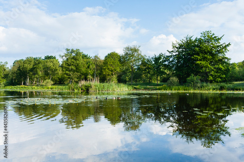 Landscape at Duinen van Oostvoorne