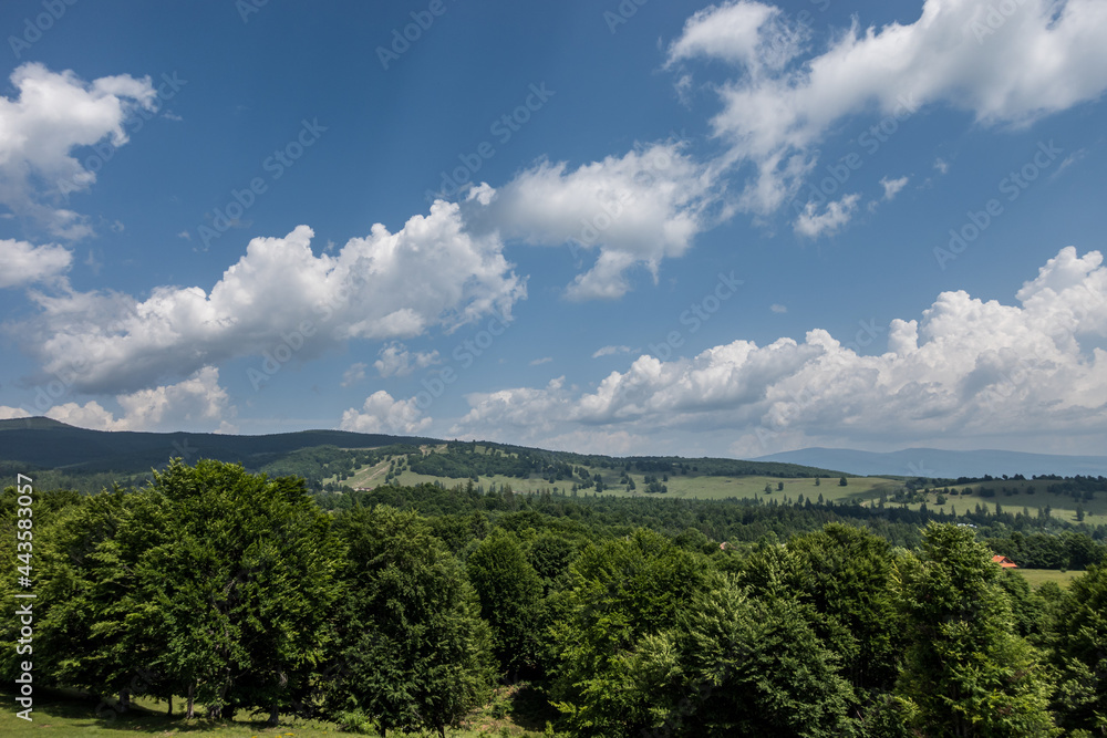 Scenery View in Nature, Romania